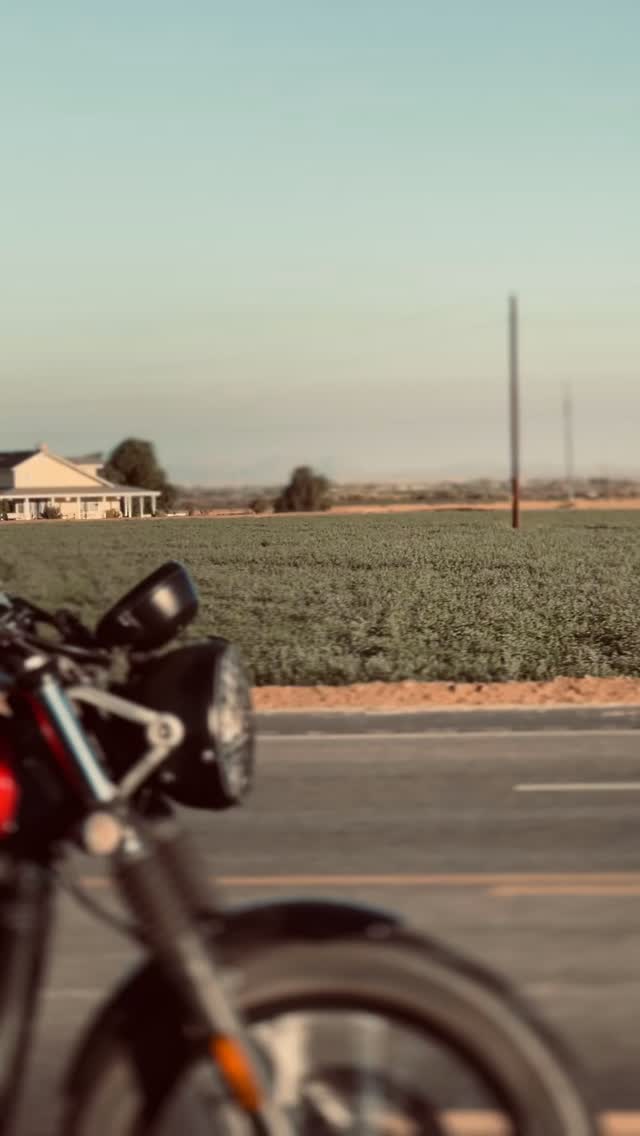 fogy_garage